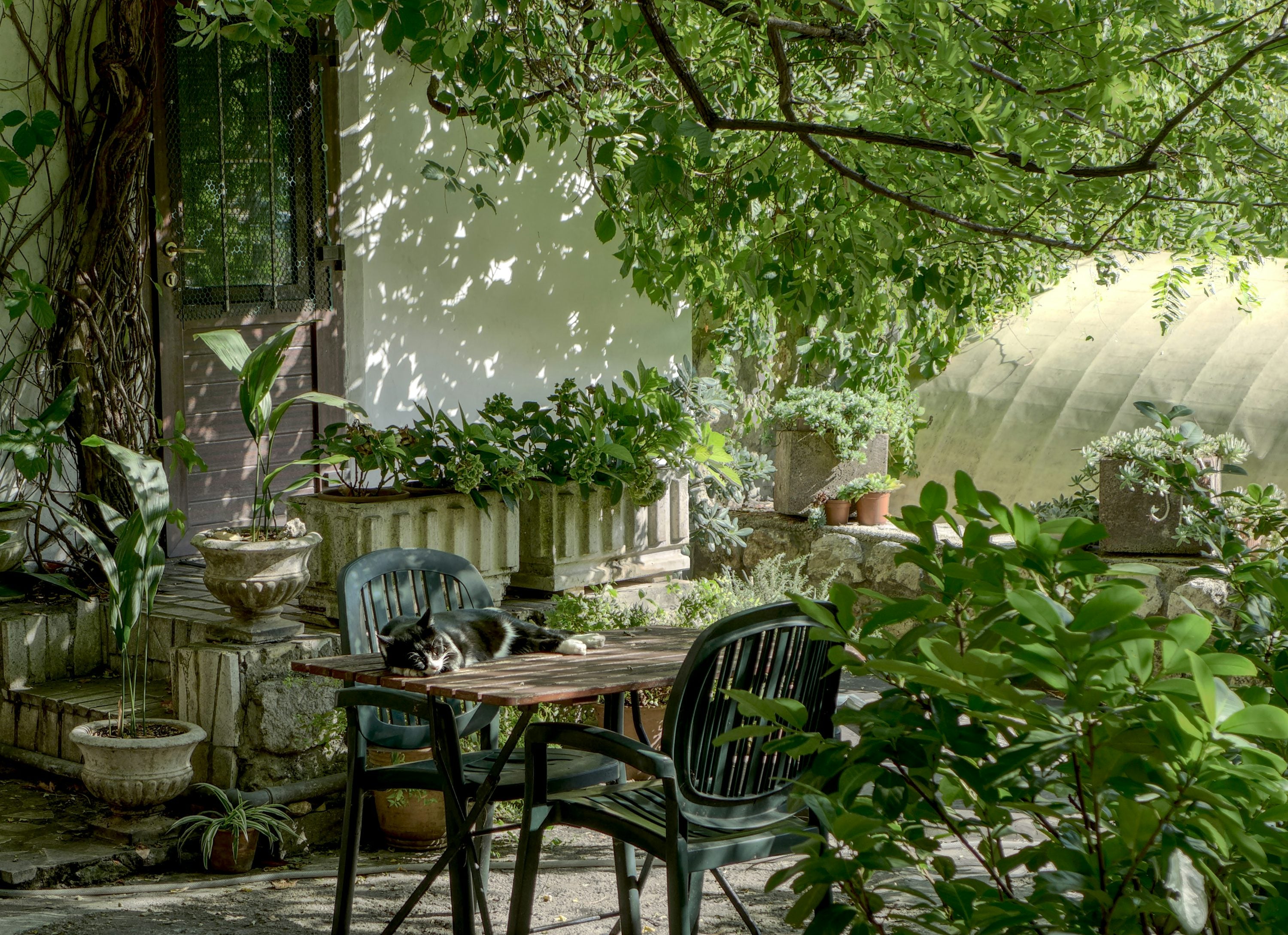 Teak outdoor garden furniture