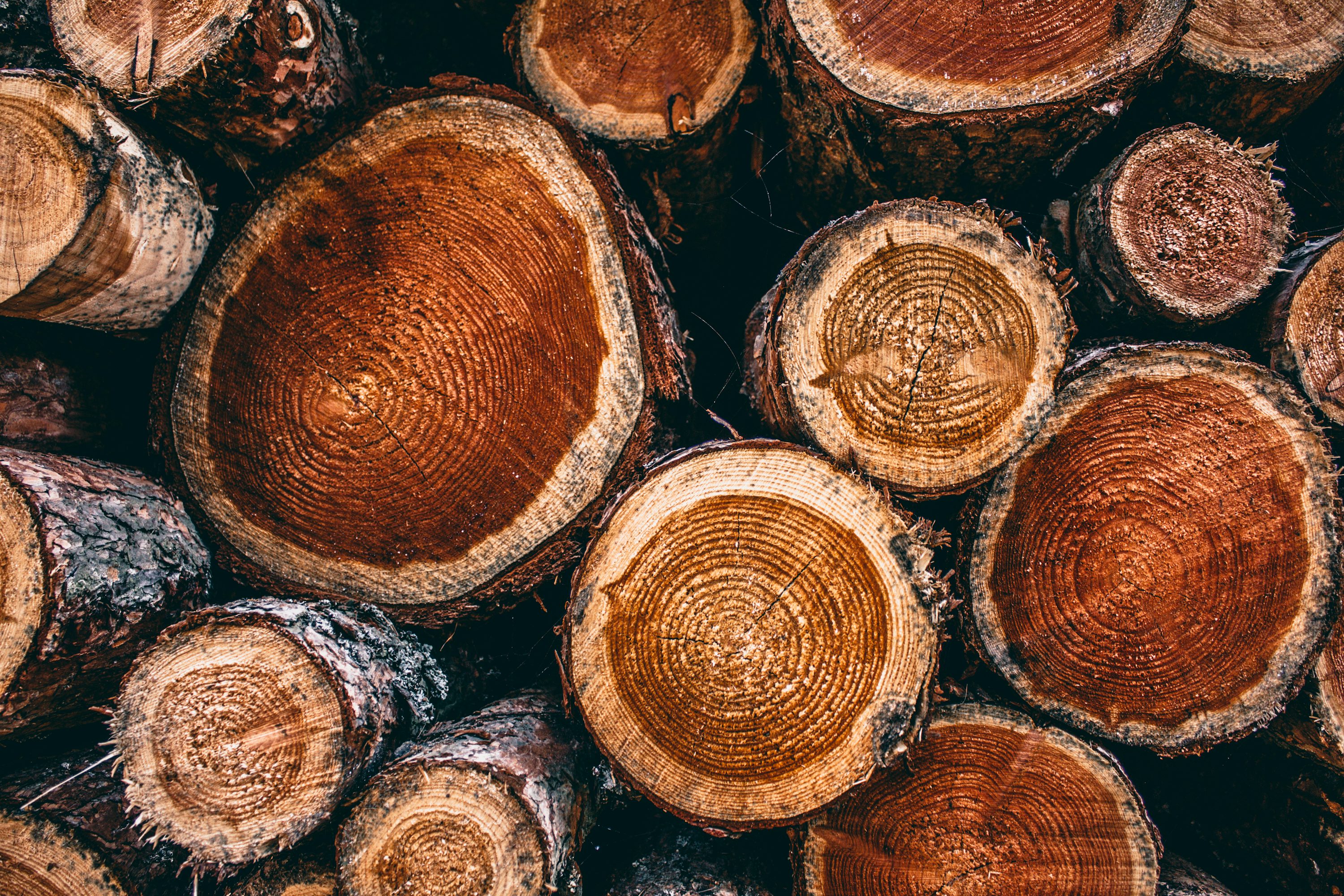 Teak timber for custom manufacturing - placeholder photo